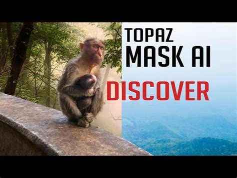 Topaz Mask Tutorial 的图像结果