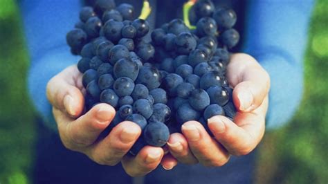 Perishables | News & Advisories | Maersk