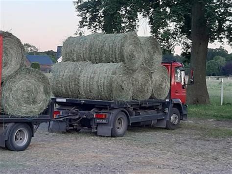 Heu Verkauf | Reitanlage & Heu Verkauf Fockenberg | Bottrop-Kirchhellen