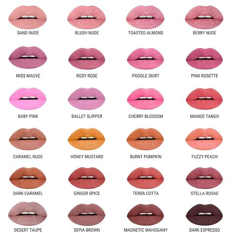 Aromi Matte Liquid Lipstick | Long-Lasting, Dusty India | Ubuy