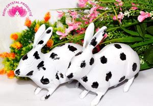 CRYSTU Brass Rabbit Pair Black & White for Feng Shui, Vastu Correction ...