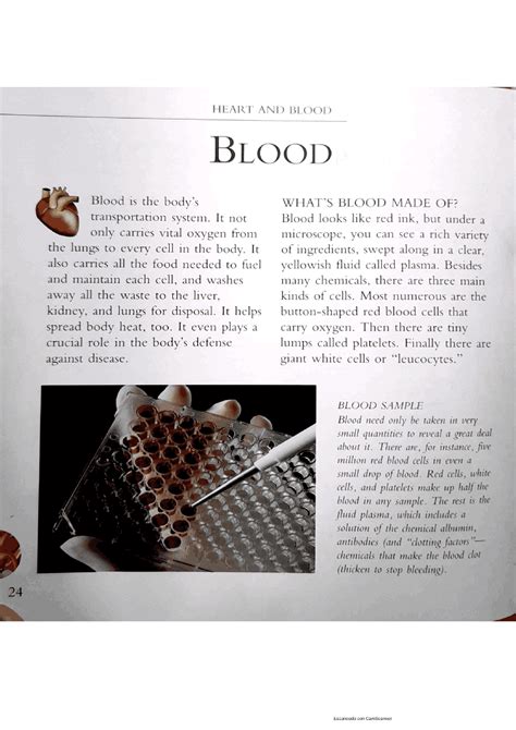 Que es la sangre en ingles - Docsity