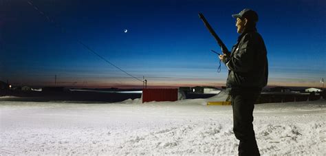 Coastal Job: Polar Bear Guard | Hakai Magazine