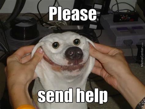 Image result for Help Us Out Meme