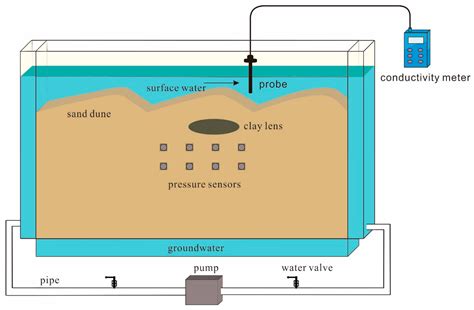 The Influences of a Clay Lens on the Hyporheic Exchange in a Sand Dune