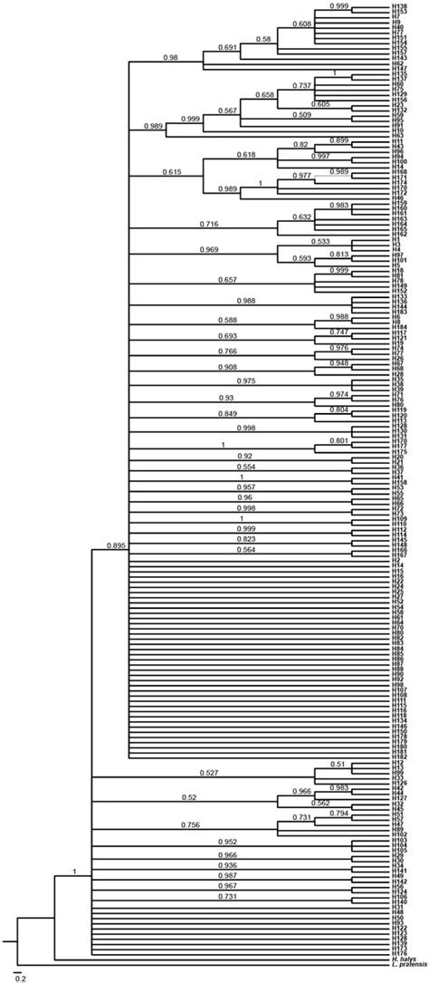 Sustainable Utilization of Insect Biodiversity in Agriculture Forestry ...