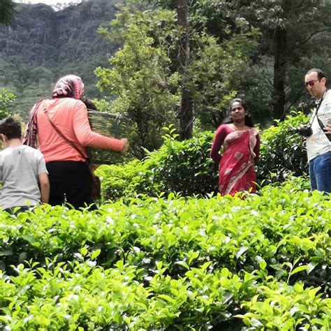 THE BEST Places to Visit in Talawakele (2025) - Must-See Attractions