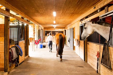 Boarding - NOVA Equestrian Center & NOVA Equine Fitness Center