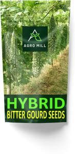 AGRO MILL HYBRID F1 PREMIUM QUALITY BITTER GOURD/KARELA SEEDS FOR HOME ...