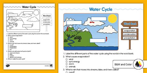 Second Grade Water Cycle Quiz (teacher made) - Twinkl