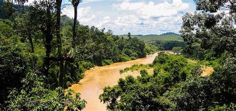 Taman negara tour packages, Kuala lumpur, Malaysia