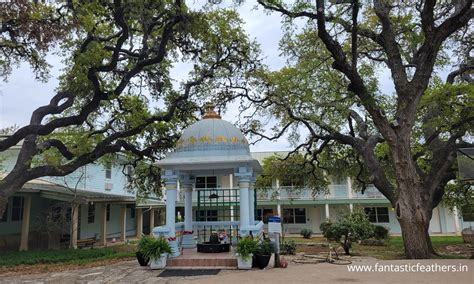 Fantastic Feathers: Radha Madhav Dham, Austin, TX