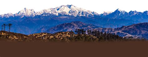 Padmaja Naidu Himalayan Zoological Park