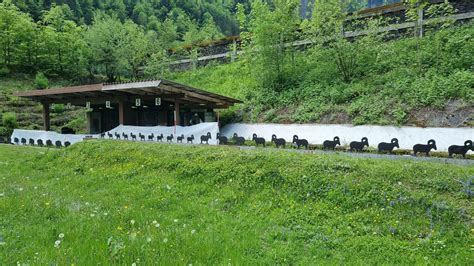 Training vom 13. / 14. Mai 2022 im Selgis – VEREIN SCHWEIZER ...