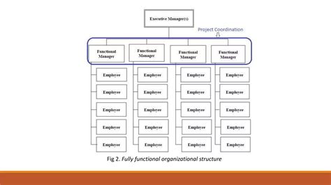 Projectized Organization Structure 的图像结果
