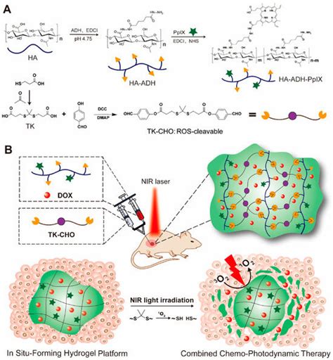 Applications of Degradable Hydrogels in Novel Approaches to Disease ...