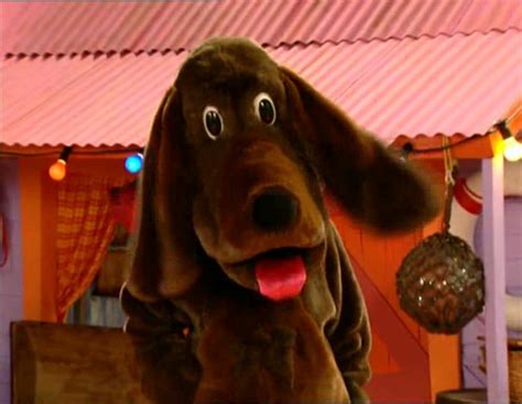 Image result for Netcode Gaming