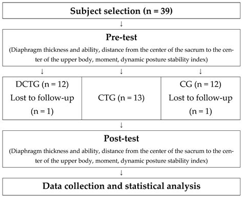 Impact of Diaphragm-Strengthening Core Training on Postural Stability ...