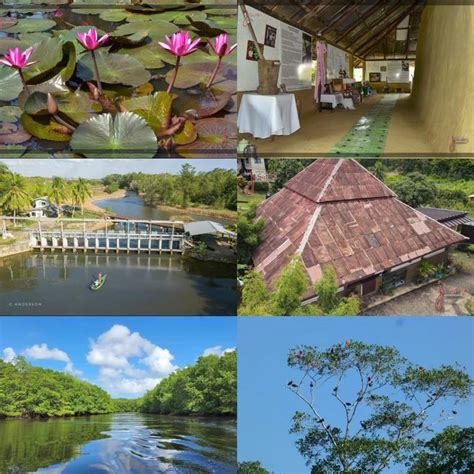 Treasures of Trinidad: Avocat Mud House Museum and Godineau River , Mt ...