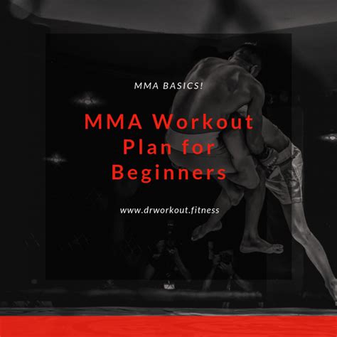 MMA Beginner's Guide 的图像结果