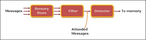 17.7 Broadbents Early Selection Theory