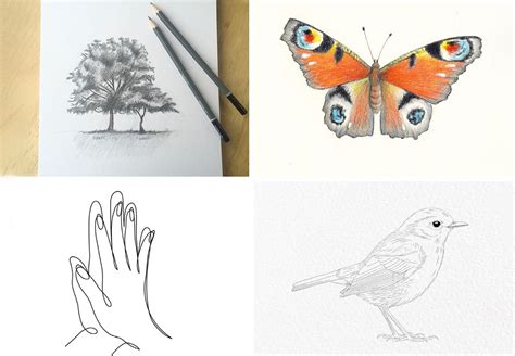 Image result for Drawing Examples Easy