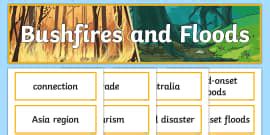 Fire Danger Display Sign (teacher made)