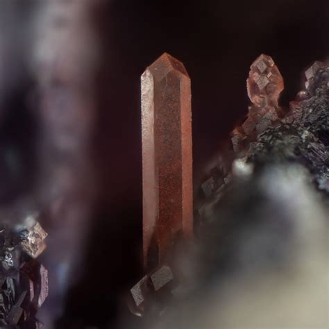 Image result for Halides Examples