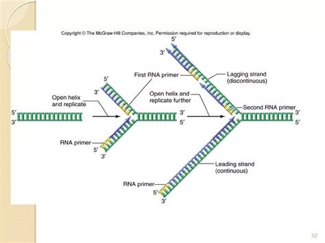 Dna replication in prokaryotes | PPTX
