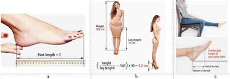 This Magic Number Is The Highest Heel Height You Should Wear, According To Podiatrists Vector Art