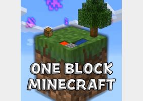 Image result for One Block MC