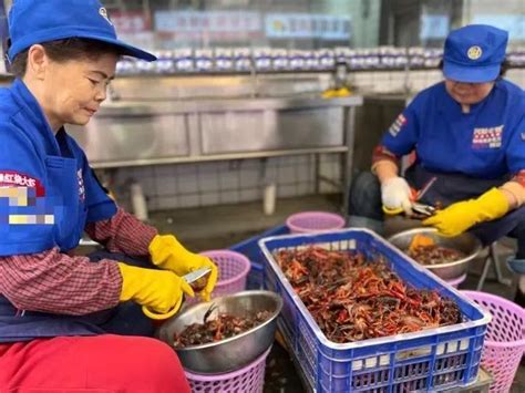 看！蚌埠龙虾的“出水之路”……_腾讯新闻
