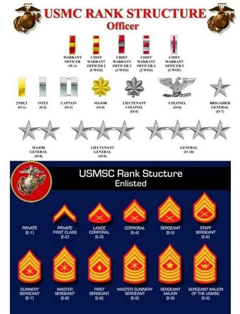 Image result for USMC Colonel Rank