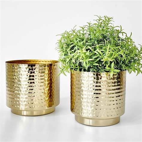 BEHOMA Metal Hammered Golden Mini Table top Planter for Home Decoration ...