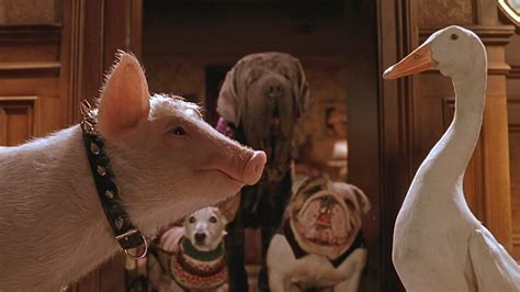 Babe: Pig in the City (1998) - Backdrops — The Movie Database (TMDB)