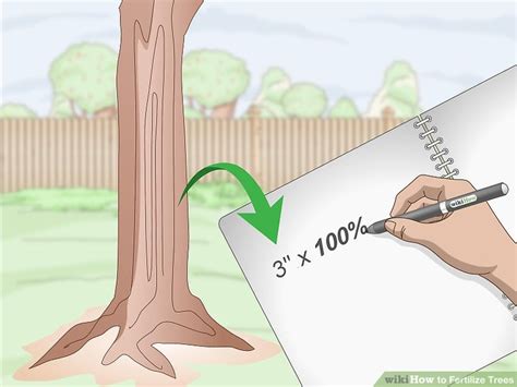 Image result for How Do You Fertilize a Tree
