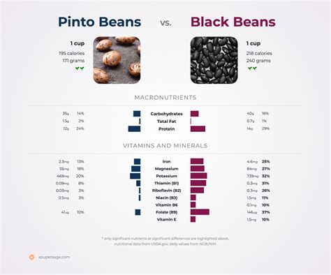 Nutrition Comparison: Black Beans Vs Pinto Beans