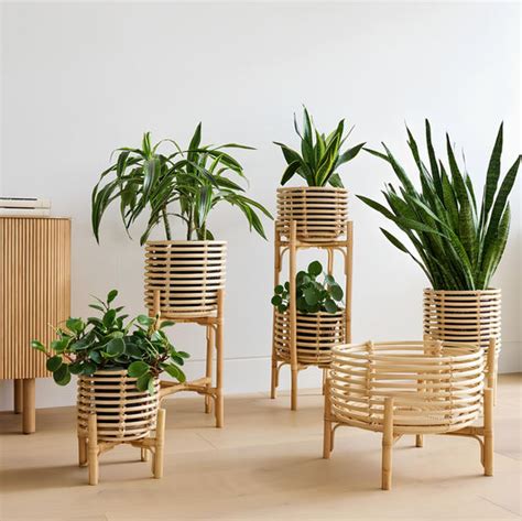 The Boho-inspired Rattan Planter: A Perfect Addition to Your Home – Akway
