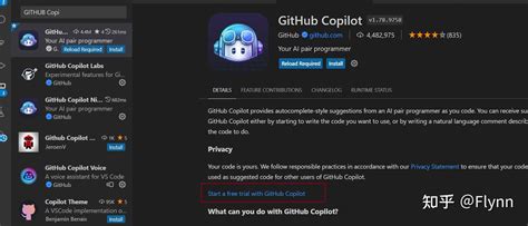 Copilotb 的图像结果
