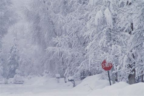 ‘Bomb cyclone’ forecasted to bring heavy snow, blizzard conditions and dangerous travel