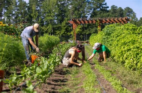 10 College Campuses With Working Farms | Best Colleges | U.S. News