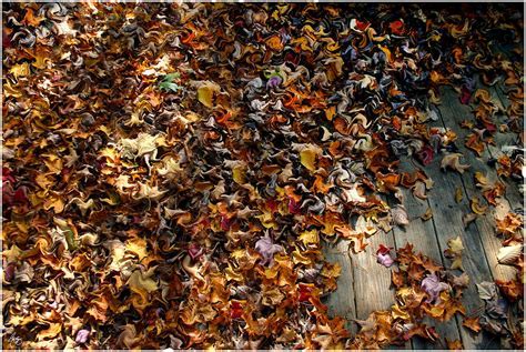 Rustling through Boxes Sound Effect 的图像结果