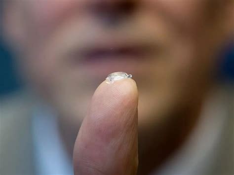 Image result for Bionic Eye Lens