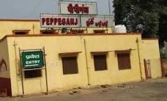 Home Page | NPP PIPIGANJ