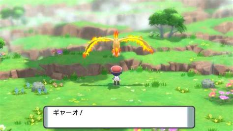 Image result for AC User Guide Example