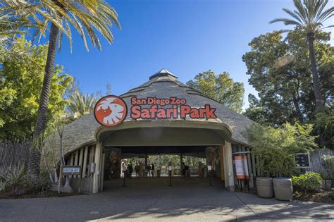 Are Dogs Allowed In San Diego Zoo