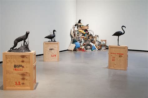 Mark Dion at Marta Herford - Artmap.com