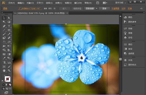 Ai 如何抠图 的图像结果
