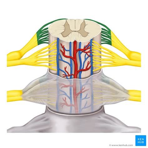 Image result for HTML and CSS and JavaScript