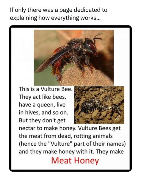 How Stuff Works ⚙️ (@how.everything.works) • Instagram photos and videos